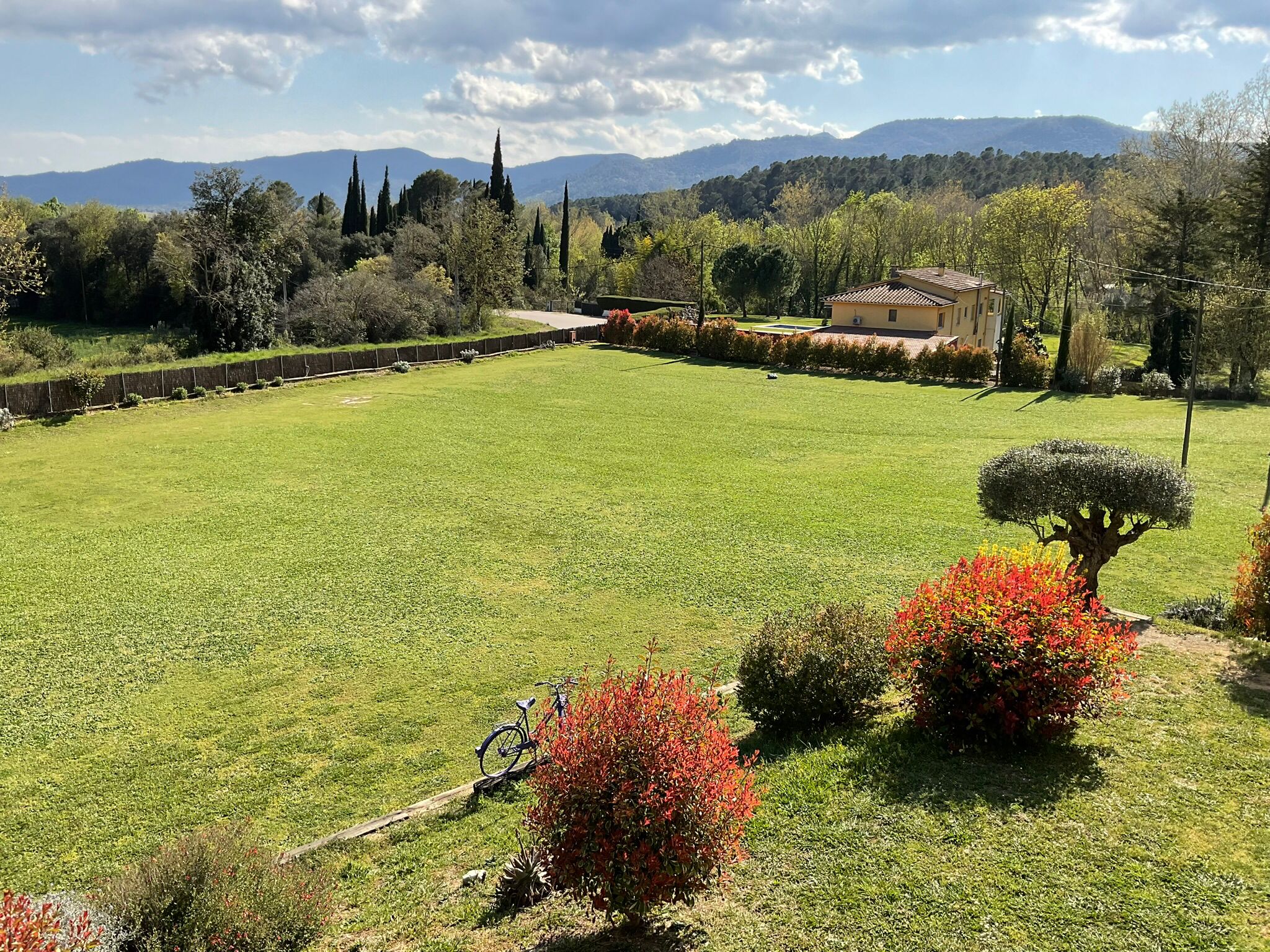 WhatsApp Image 2026-02-19 at 13.48.191