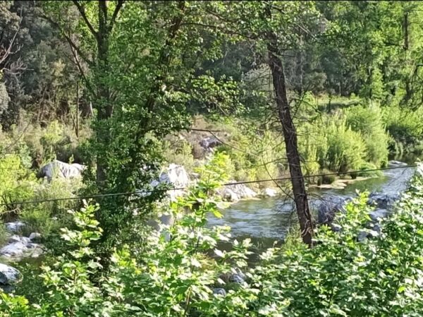 16b4cf2f-a724-40d1-a3a2-e5c0251e3734