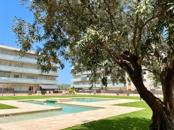 WhatsApp Image 2026-03-14 at 15.40.01 (3)